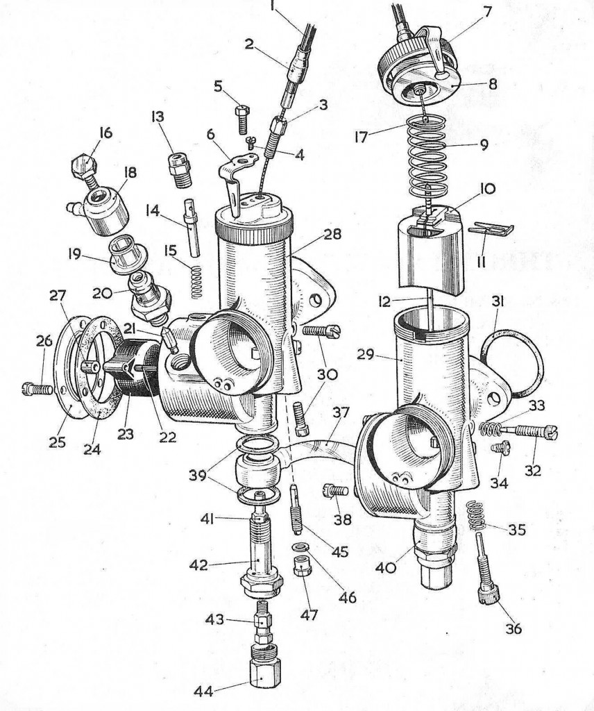 Amal389Carb